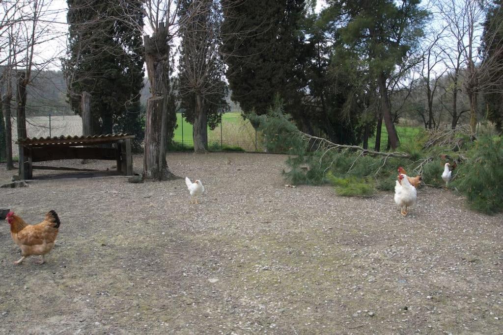 Casa Vacanze Podere San Giusto Volterra Extérieur photo