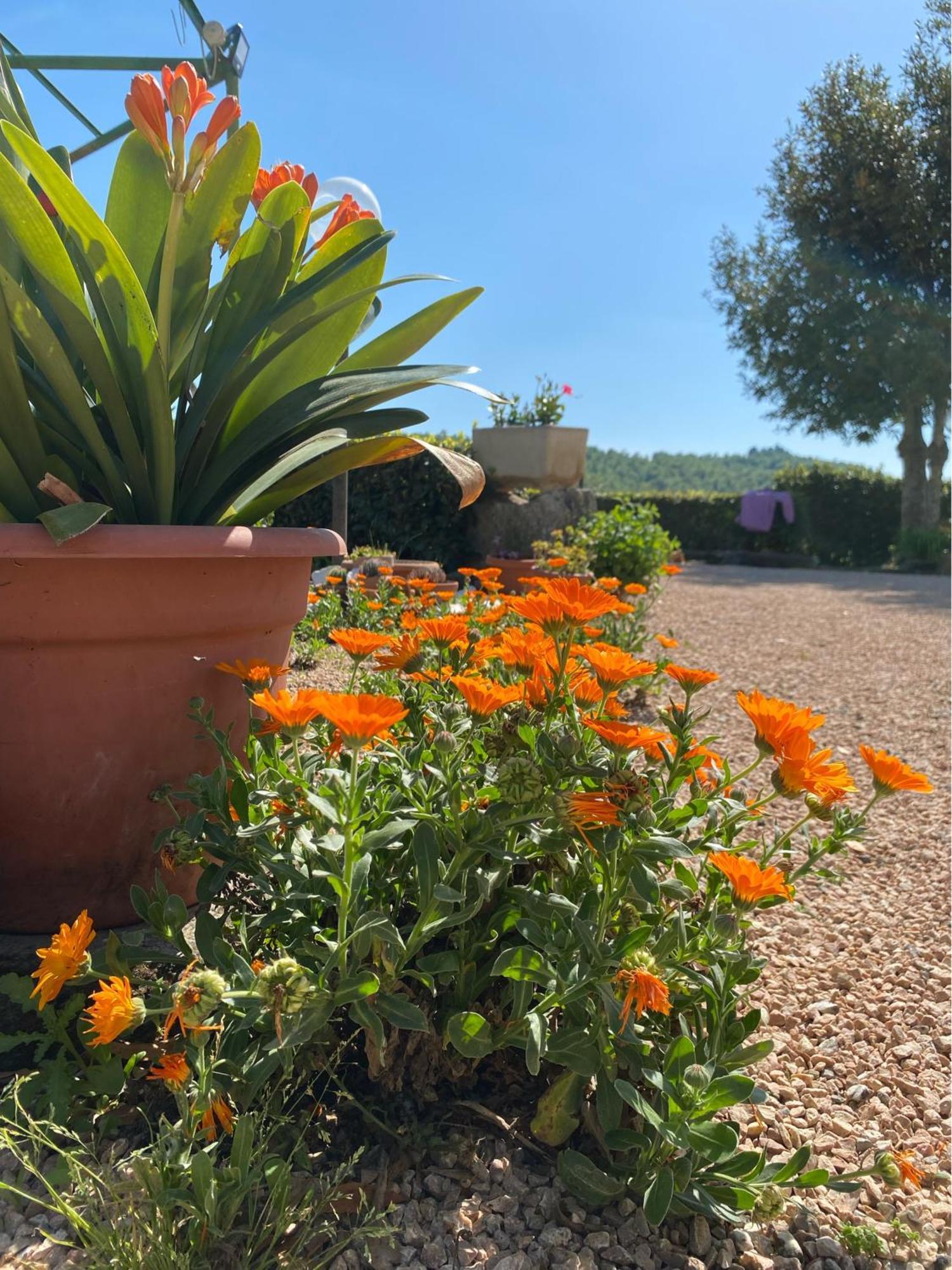 Casa Vacanze Podere San Giusto Volterra Extérieur photo