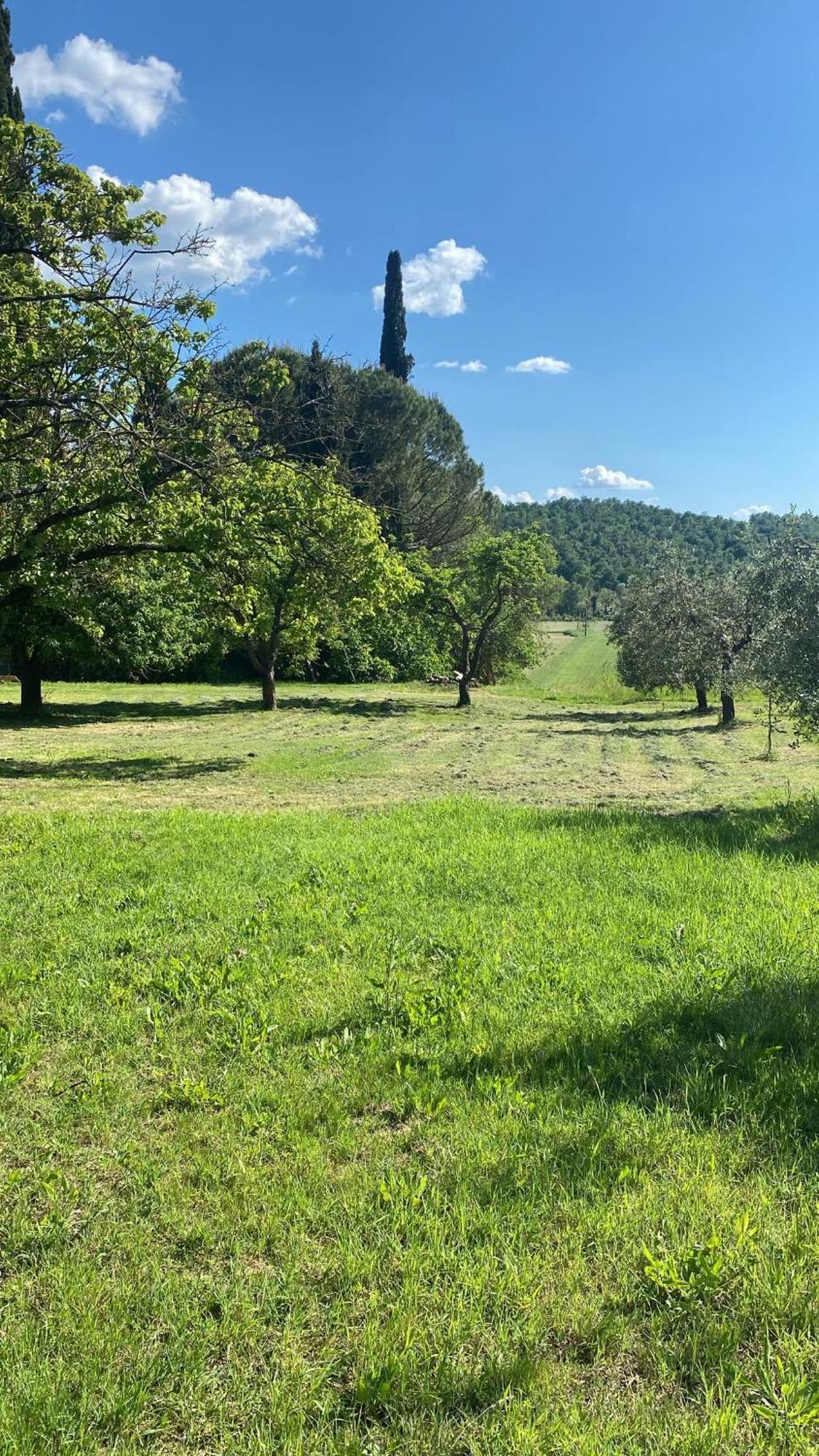 Casa Vacanze Podere San Giusto Volterra Extérieur photo