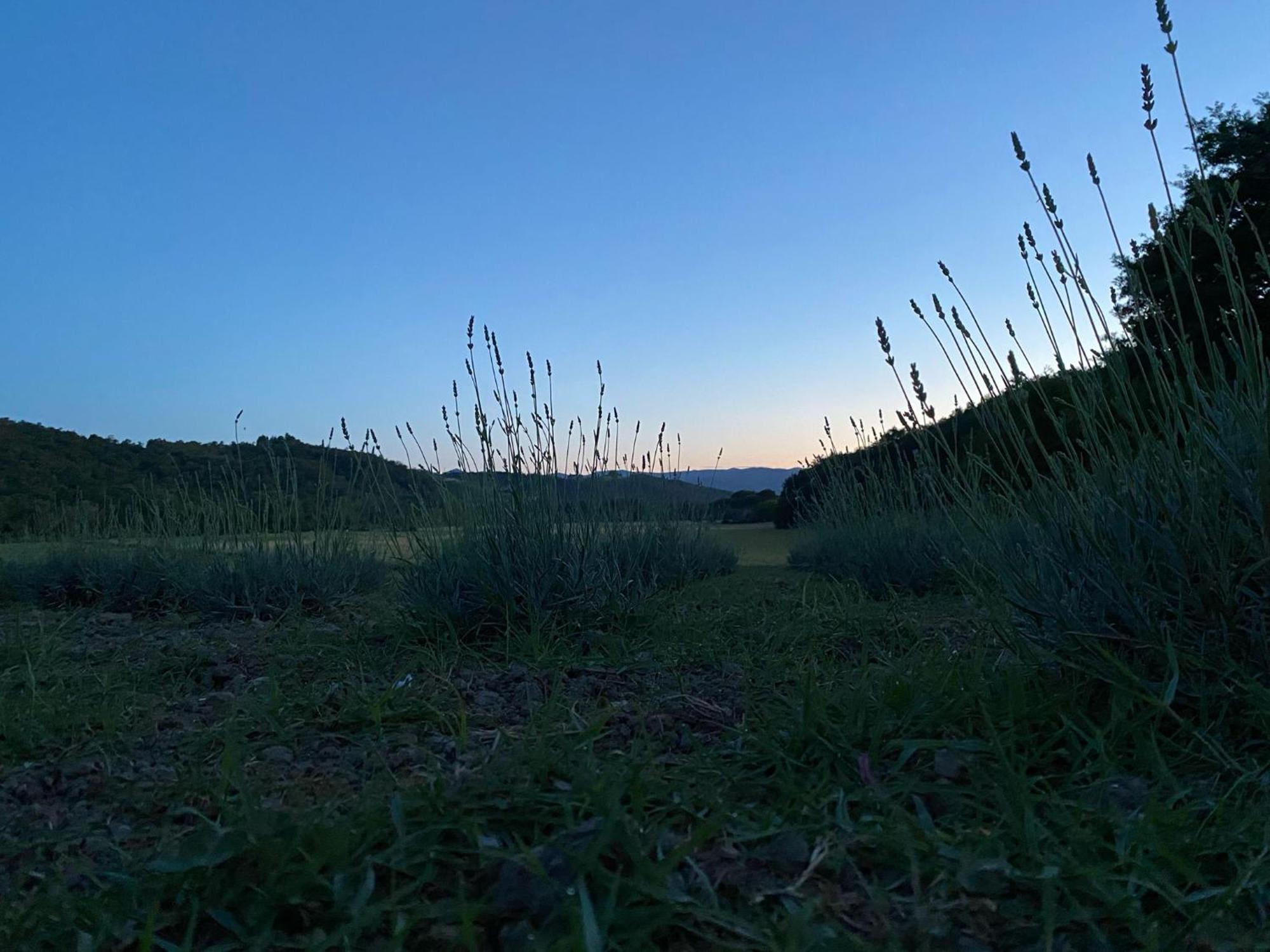 Casa Vacanze Podere San Giusto Volterra Extérieur photo